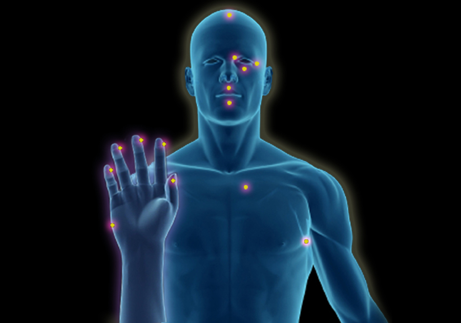 Biomagnetismo a Distancia
